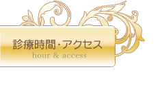 診療時間・アクセス